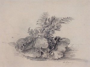 Fern Leaves And Burdock — Aleksey Savrasov