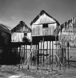 Stilt Houses Near Manaus — Marcel Gautherot