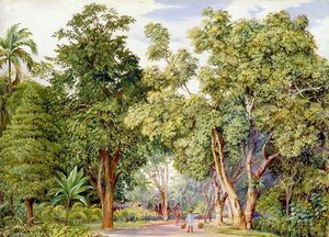 Lane Near Singapore — Marianne North