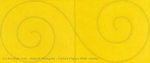 Curled Figure Xviii (study) — Robert Mangold
