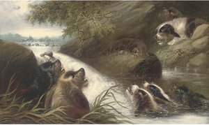 The Cornered Otter — George Armfield (smith)