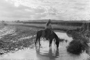 Frank Smith Watering His Horse, Cross-b Ranch, Crosby County, Texas — Erwin Evans Smith
