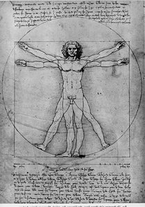 Vitruvian Man, Study Of Proportions, From Vitruvius's De Architectura — Leonardo Da Vinci, Renaissance Humanism