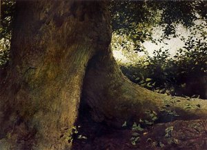 Foot — Jamie Wyeth