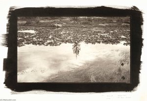 Beaver Pond, Lime Creek, Colorado
