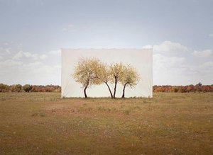 Tree... #4 — Myoung Ho Lee, Contemporary Realism