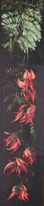 Red Flowering Plant On A Black Background — Marianne North, Academic Realism