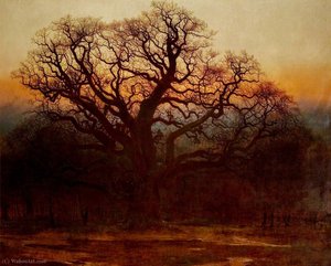 Major Oak, Sherwood Forest, Nottinghamshire — Andrew Maccallum