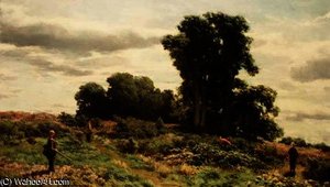 The Forest of Meiklour, Perthshire