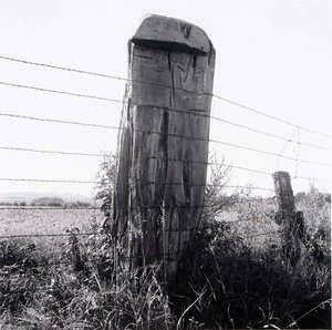 Fence Post, Douglas County, From The Kansas Documentary Survey Project — Larry W Schwarm