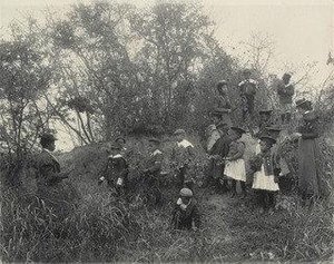 Primary Class Studying Plants Whittier School — Frances Benjamin Johnston