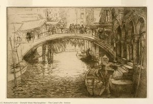 The Canal Life, Venice