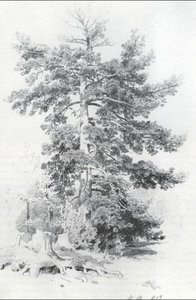 Pine — Ivan Ivanovich Shishkin