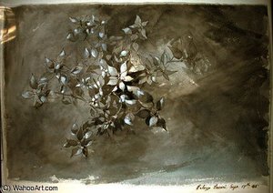 Study of foliage
