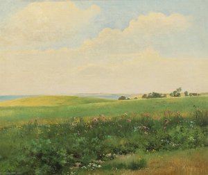 Summer landscape with rolling fields