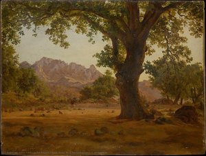 Oak Tree In A Mountainous Landscape — Albrecht Dürer