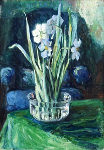 Daffodils