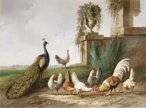Poultry And A Peacock In A Meadow — Albertus Verhoesen