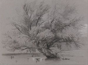 Pond With Willow Tree And Ducks — Peter De Wint