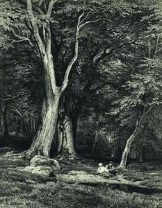 Forest — Ivan Ivanovich Shishkin, Realism