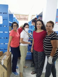 Organização do acervo