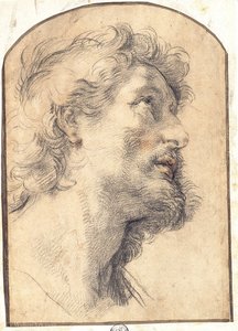 Study of the Head of Saint Crispin