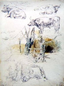 Cattle Studies — Robert Hills