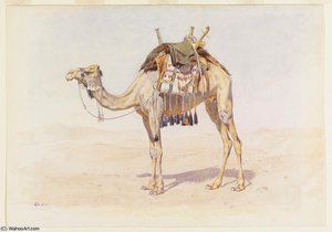 Female Riding Camel — Frederick Goodall