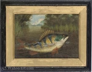 A perch rising