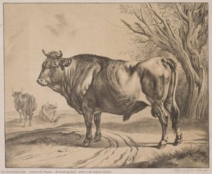 Breeding bull (after Joh.Adam Klein)