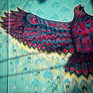 Red Tail Hawk Mural — Jason Pawley, Contemporary Realism