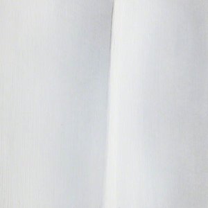 Untitled (special Edition 2004) — Alison Watt