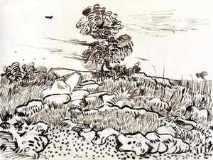 Rocky Ground At Montmajour — Vincent Willem Van Gogh
