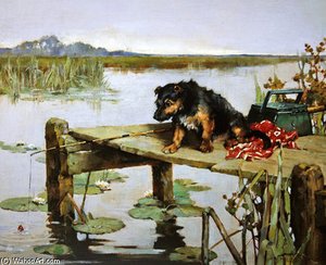 Terrier - Fishing