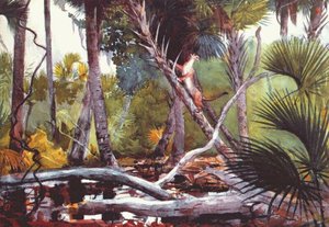 In The Jungle, Florida — Winslow Homer, Contemporary Realism