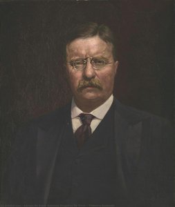 Theodore Roosevelt — Adriaan De Groot (adrianus Dingeman De Groot)