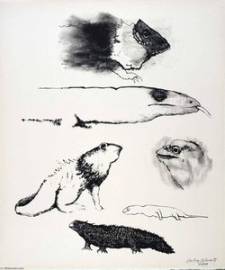 (A Bestiary, portfolio) Lizards and Snakes