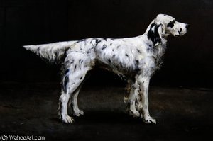 Portrait of a dog