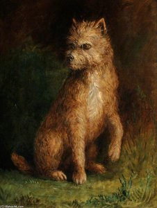 Dash — Albrecht Dürer, Northern Renaissance Realism