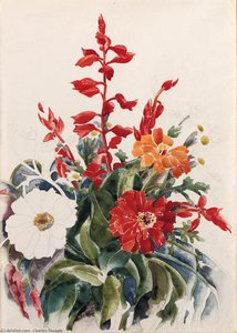 Zinnias And Red Salvia — Charles Demuth