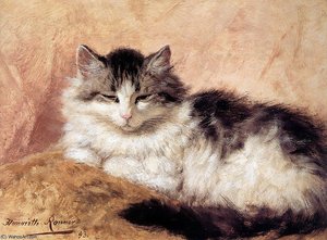 Dozing Cat Sun — Анријета Ронер-книп