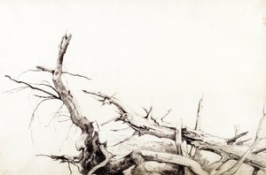 Study Of Fallen Tree Trunks, Bolton, Lake George, New York — Asher Brown Durand