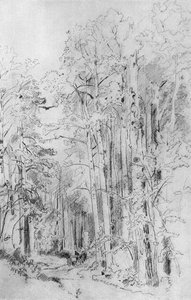 Aspen On The Way To Kivach — Ivan Ivanovich Shishkin