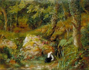 Stray Rabbits — Robert Collinson
