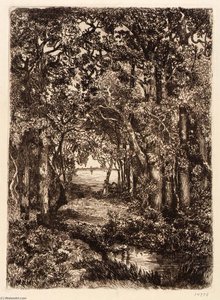 The Sea Through The Woods — Mary Nimmo Moran