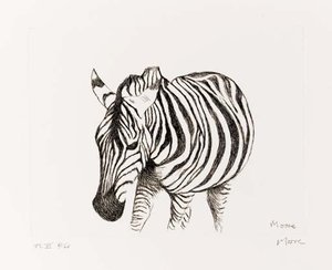 Zebra — Henry Moore