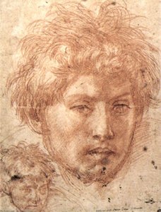 Head Of A Young Man — Andrea Del Sarto, High Renaissance