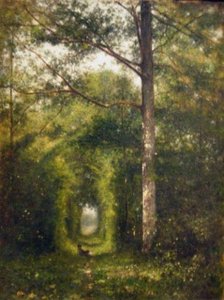 Sentier sous bois