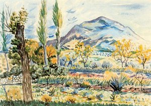 Fique Landscape — Rafael Zabaleta Fuentes