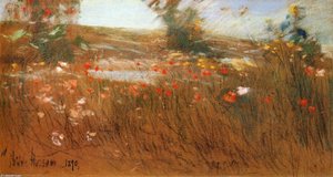Poppies, Isles Of Shoals 1 — Frederick Childe Hassam